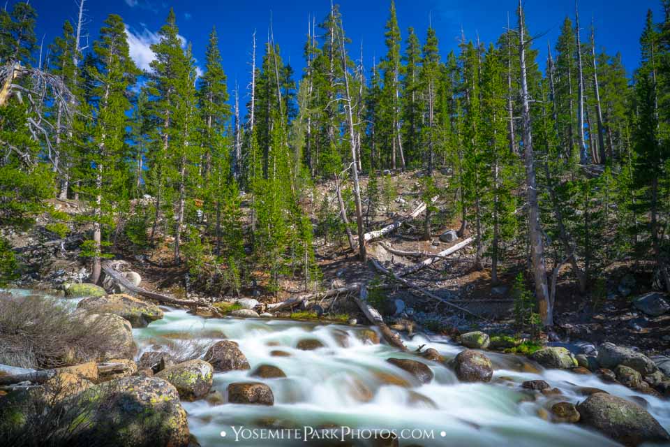 Tuolumne River Photos - From Glacier To Bay | Yosemite Park Photos