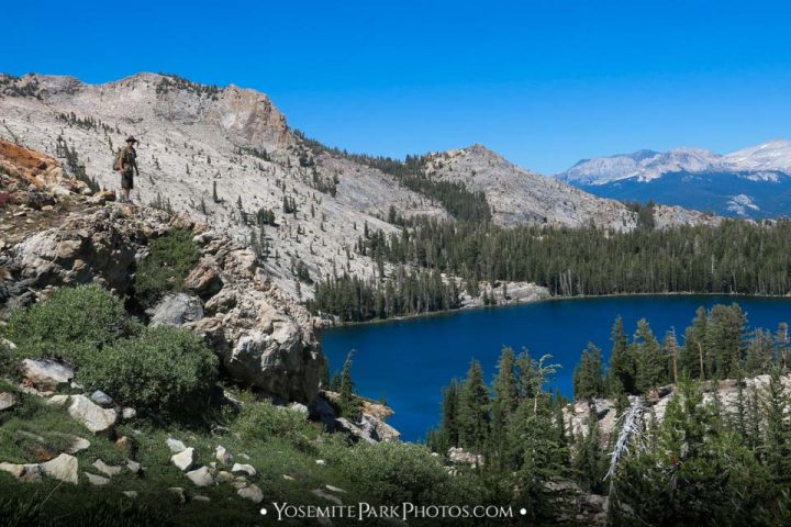 May Lake Hike Photos - Trail & Hiker | Yosemite Park Photos