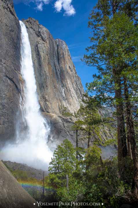 Yosemite Waterfalls at Peak Flowing Glory - Yosemite Park Photos